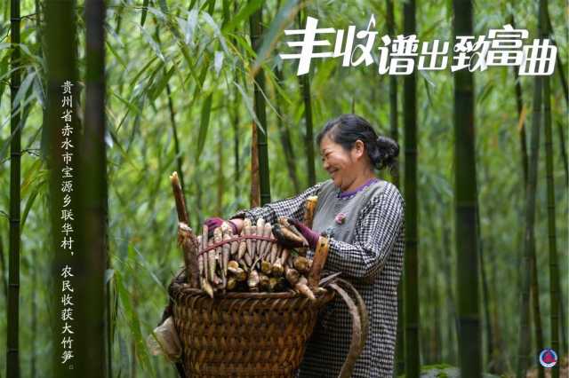 丰收谱出致富曲