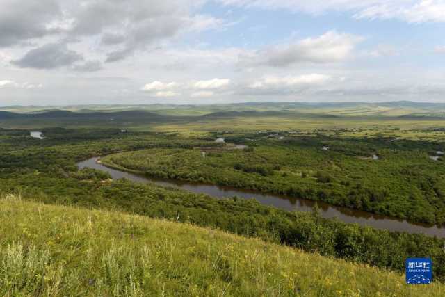湿地之美丨内蒙古额尔古纳湿地