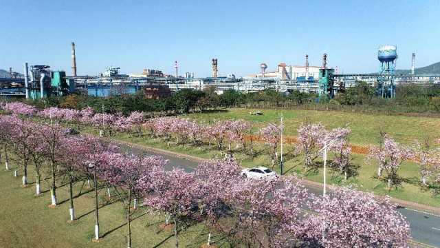 贵州省社会科学院院长张学立：这十年，美好生活与美丽中国珠璧交辉