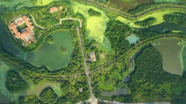 南昌艾溪湖森林湿地公园：城市湿地，候鸟天堂
