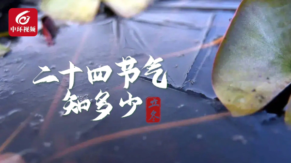 专家解答：立冬为什么要吃“米时”？