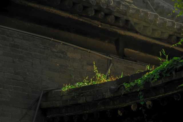 光影一瞥：白洋淀上的“破冰”美景