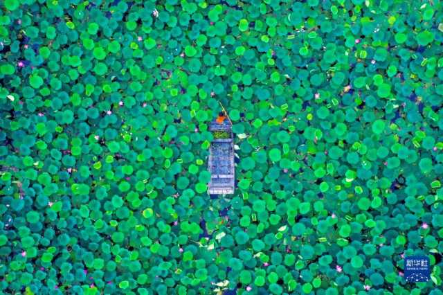 大美湿地城市丨济宁