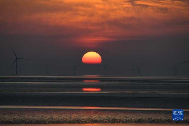 大美湿地城市｜盐城