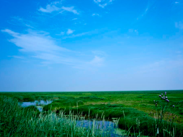 中国环境报评论：如何破解落实生态环保工作牵头难问题？