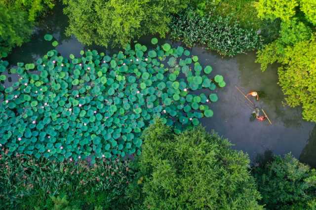 桐庐县域“慢居生活”样板初现富春江畔