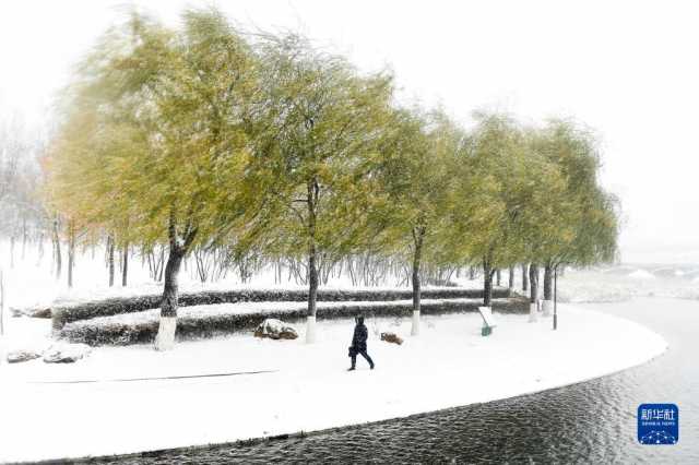 吉林省迎来大范围降雪