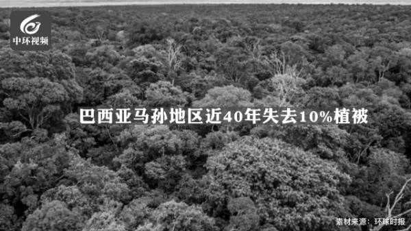 巴西亚马孙地区近40年失去10%植被