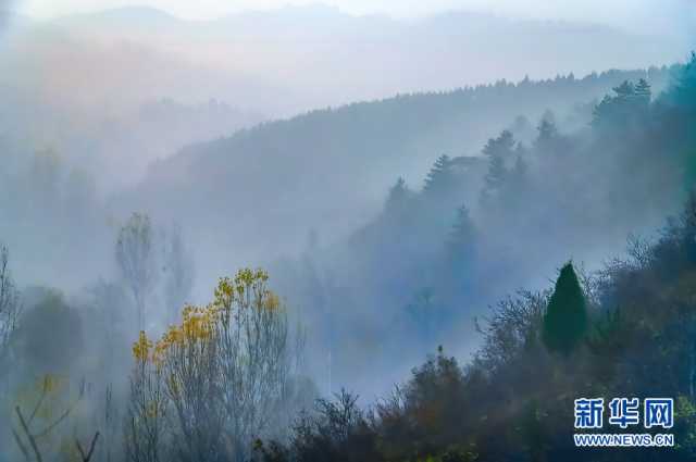 【“飞阅”中国】冬雾漫山间 宛若水墨画