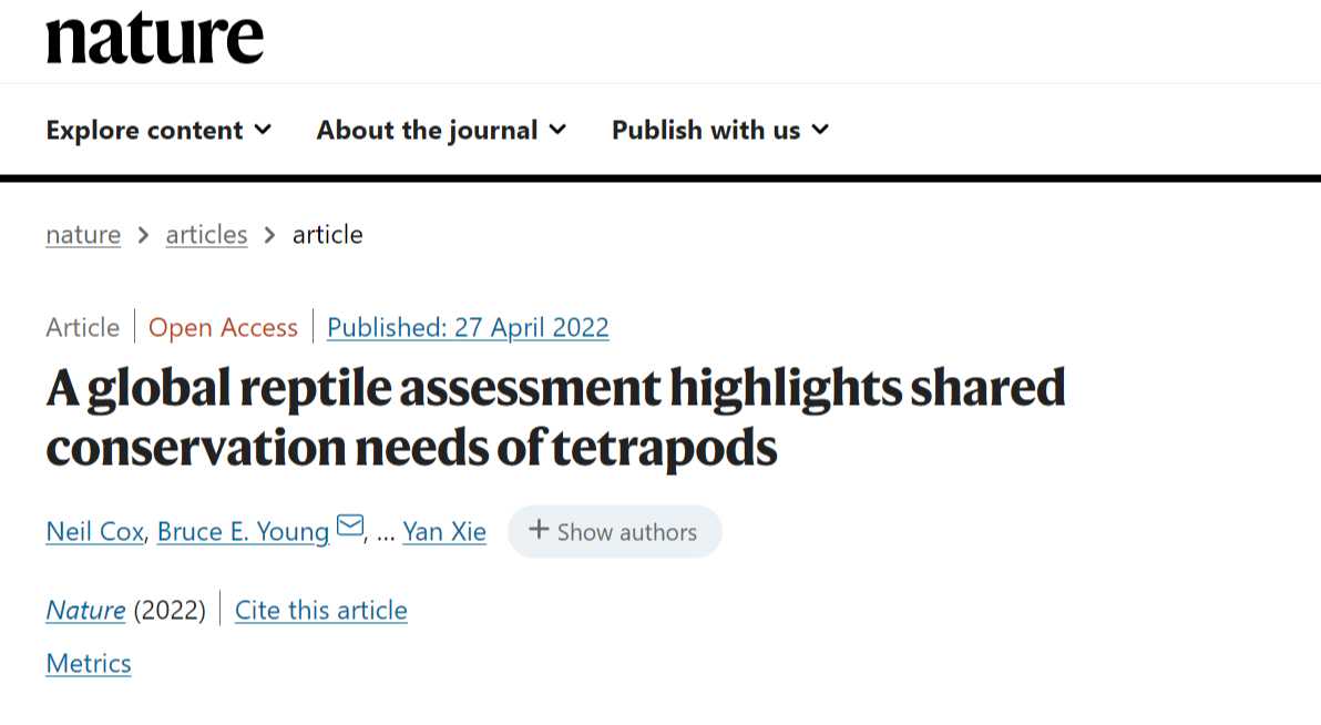 《自然》杂志：全球超1/5爬行动物面临灭绝