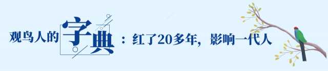 独家对话鸟类学家约翰·马敬能：这本影响一代观鸟人的书，出新版了