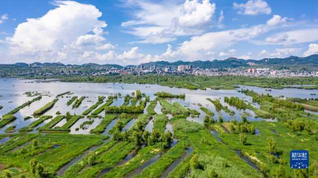 贵州毕节：厚植绿色发展底蕴 扩增生态产业红利
