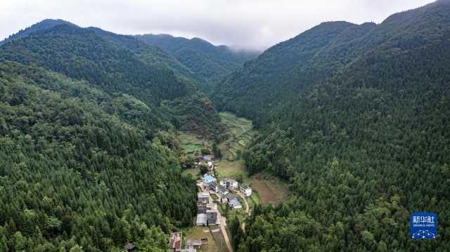 贵州毕节：厚植绿色发展底蕴 扩增生态产业红利