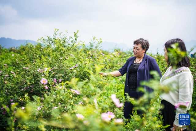 贵州毕节：厚植绿色发展底蕴 扩增生态产业红利