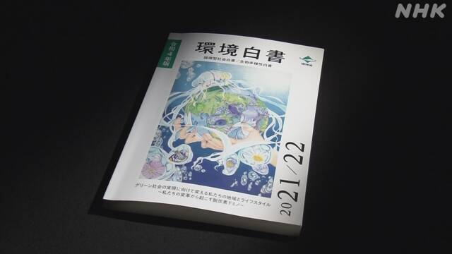 日本《环境白皮书》：2030年减排46%，加快去碳化社会过渡