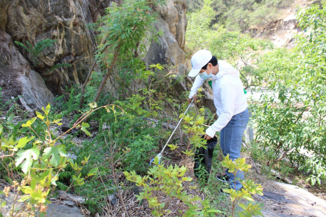 山东泰安：开展生态文明宣传月系列活动