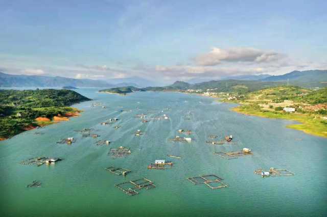 人间天上一湖水:东江湖治水记 人间天上一湖水:东江湖治水记