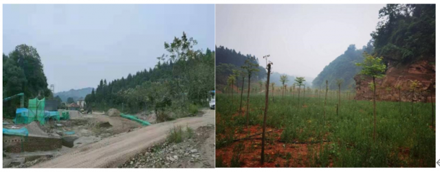 “利剑”行动丨常德以雷霆手段整改大洑溪违规采砂