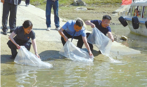 违反长江禁渔政策 打造“捕—运—销”黑色产业链