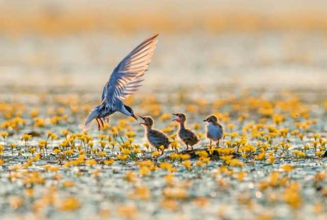 天更蓝水更清，这十年，美丽江西建设成效显著