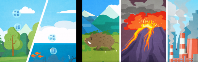 碳源、碳汇是什么？碳又是怎么循环的呢？