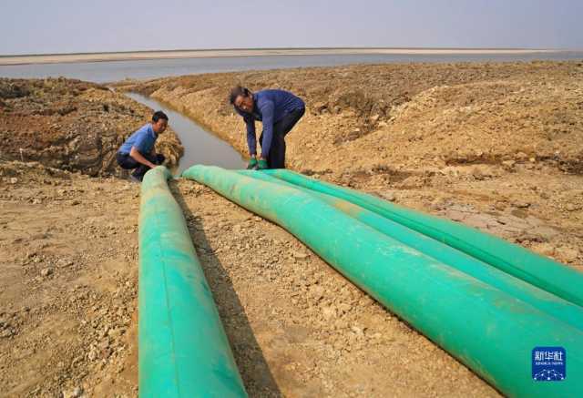 鄱阳湖：为候鸟“留水”