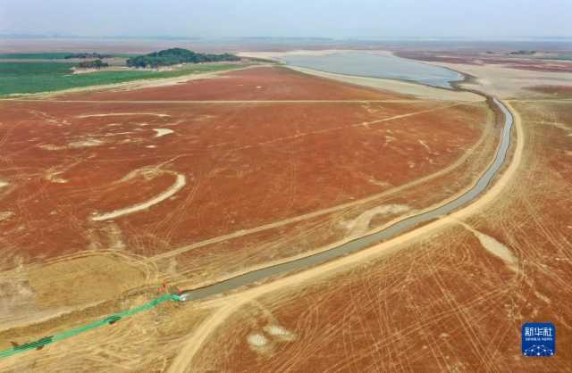 鄱阳湖：为候鸟“留水”