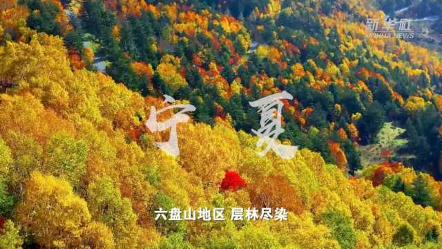 “欢度国庆·美丽中国”主题报道丨假期里邂逅“绿水青山” “欢度国庆·美丽中国”主题报道丨假期里邂逅“绿水青山”