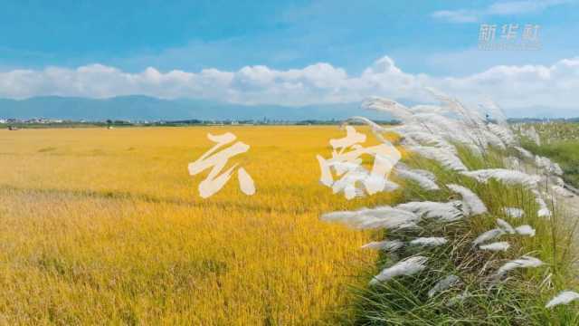 “欢度国庆·美丽中国”主题报道丨假期里邂逅“绿水青山” “欢度国庆·美丽中国”主题报道丨假期里邂逅“绿水青山”