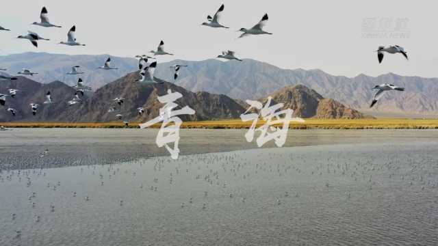 “欢度国庆·美丽中国”主题报道丨假期里邂逅“绿水青山” “欢度国庆·美丽中国”主题报道丨假期里邂逅“绿水青山”