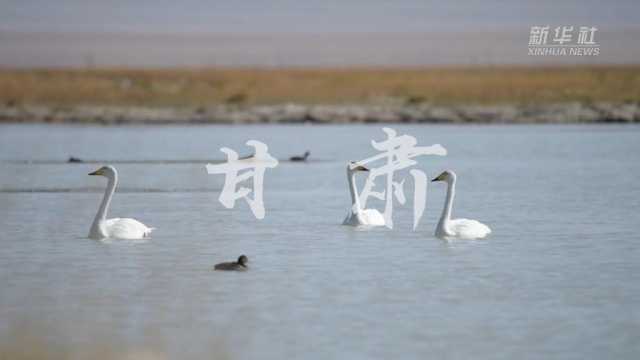 “欢度国庆·美丽中国”主题报道丨假期里邂逅“绿水青山” “欢度国庆·美丽中国”主题报道丨假期里邂逅“绿水青山”