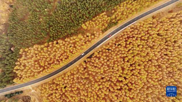 新华全媒+丨多彩神州 大美中国