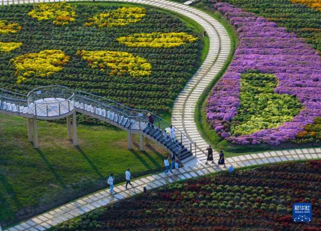 新华全媒+丨多彩神州 大美中国