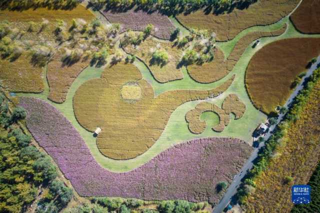 新华全媒+丨多彩神州 大美中国