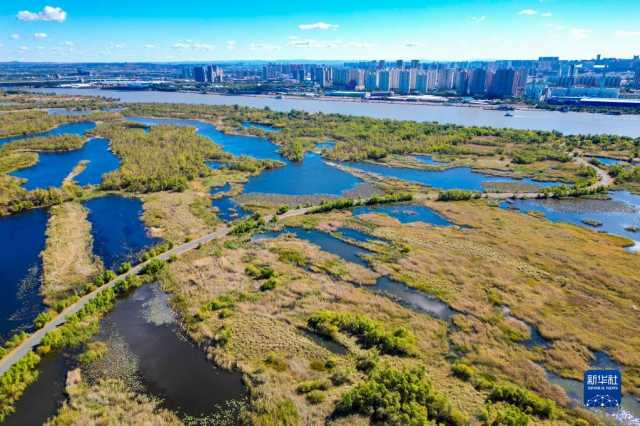 新华全媒+丨多彩神州 大美中国