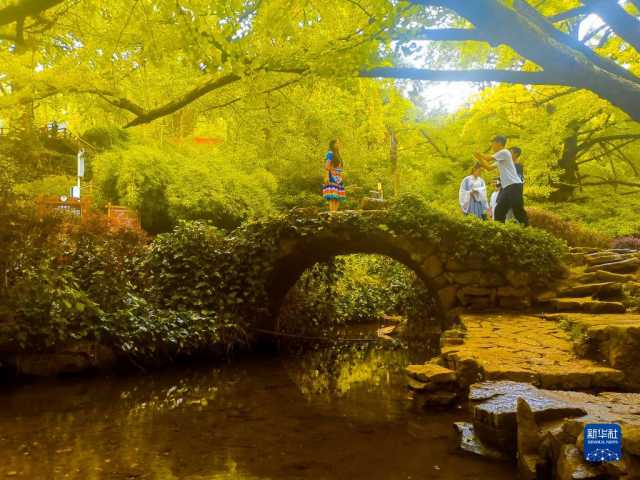 新华全媒+丨多彩神州 大美中国