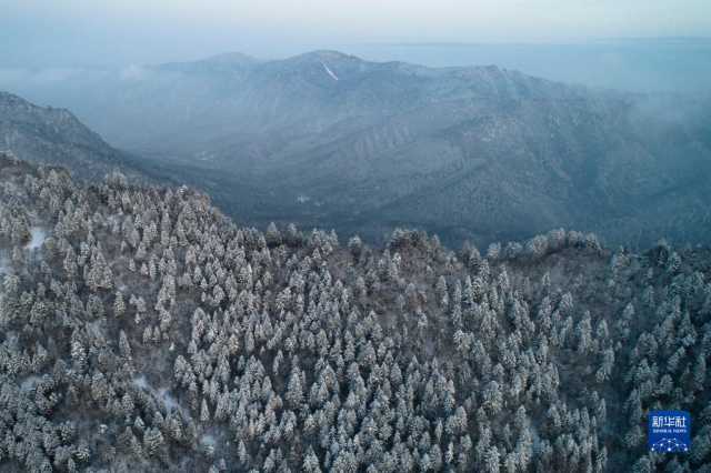 新华全媒+丨陕西宁陕：守护秦岭绿色 建设多彩田园