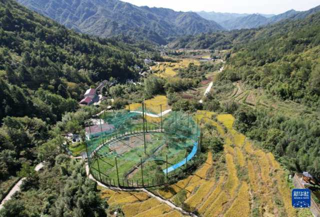 新华全媒+丨陕西宁陕：守护秦岭绿色 建设多彩田园