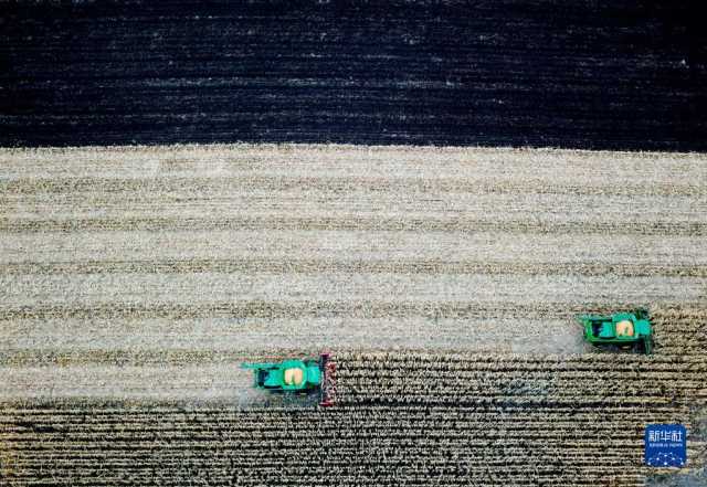 黑龙江拜泉:丰收整地两不误 黑龙江拜泉:丰收整地两不误