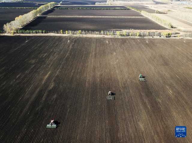 黑龙江拜泉:丰收整地两不误 黑龙江拜泉:丰收整地两不误