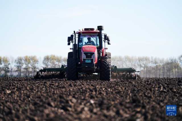 黑龙江拜泉:丰收整地两不误 黑龙江拜泉:丰收整地两不误