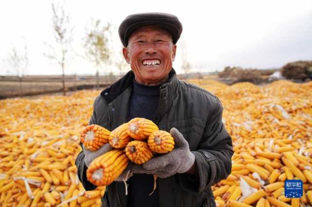 黑龙江拜泉:丰收整地两不误 黑龙江拜泉:丰收整地两不误