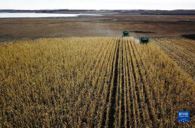 黑龙江拜泉:丰收整地两不误 黑龙江拜泉:丰收整地两不误
