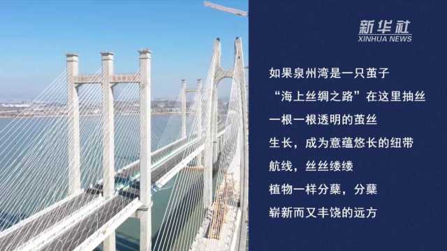 新时代之桥丨湛蓝·福建泉州湾跨海大桥 新时代之桥丨湛蓝·福建泉州湾跨海大桥