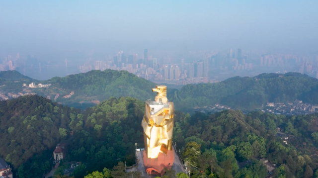 全球连线|生态修复让山水重庆成为“鹰飞之城” 全球连线|生态修复让山水重庆成为“鹰飞之城”