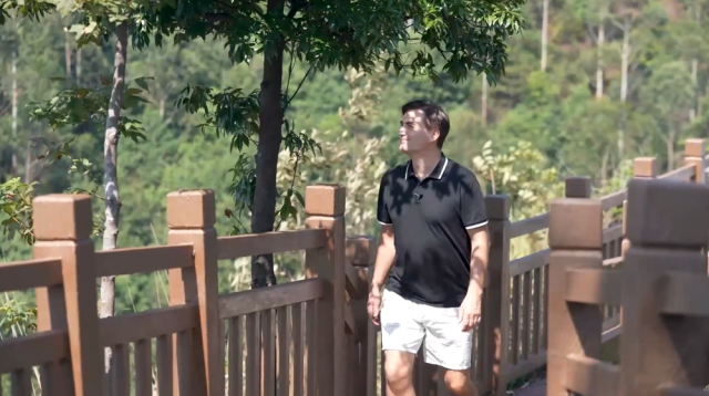 全球连线|生态修复让山水重庆成为“鹰飞之城” 全球连线|生态修复让山水重庆成为“鹰飞之城”