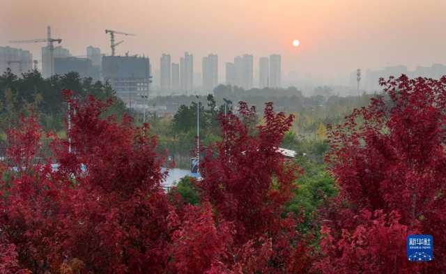 古城西安秋色浓 古城西安秋色浓