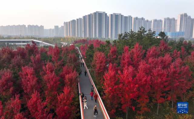 古城西安秋色浓 古城西安秋色浓