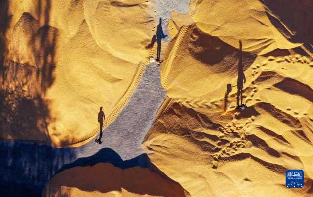 新华全媒+丨内蒙古通辽玉米迎丰收 新华全媒+丨内蒙古通辽玉米迎丰收