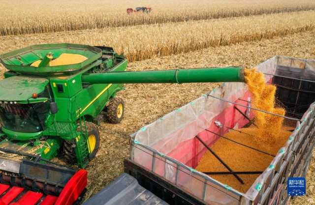 新华全媒+丨内蒙古通辽玉米迎丰收 新华全媒+丨内蒙古通辽玉米迎丰收